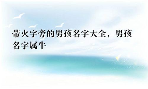 带火字旁的男孩名字大全，男孩名字属牛