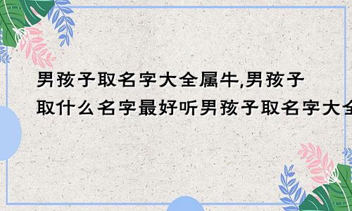 男孩子取名字大全属牛,男孩子取什么名字最好听男孩子取名字大全属牛,男孩子取什么名字最好呢