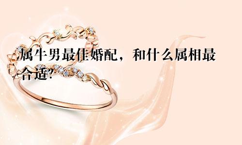 属牛男最佳婚配，和什么属相最合适？