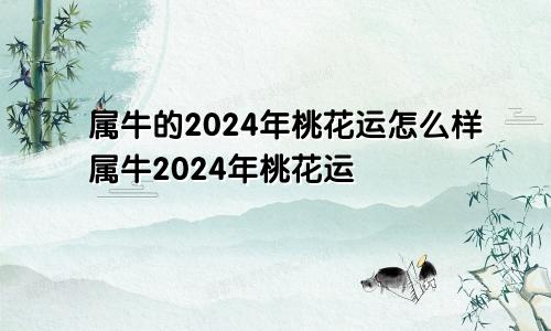 属牛的2024年桃花运怎么样属牛2024年桃花运