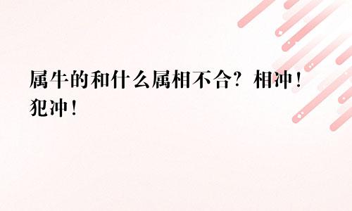 属牛的和什么属相不合？相冲！犯冲！