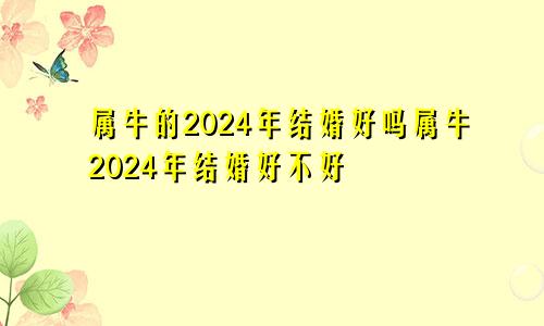 属牛的2024年结婚好吗属牛2024年结婚好不好