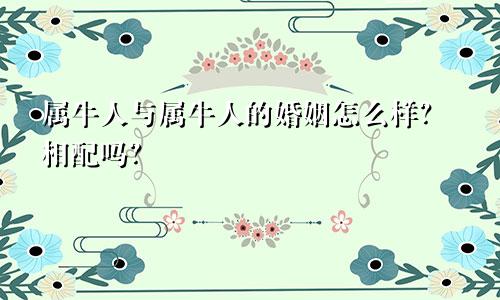 属牛人与属牛人的婚姻怎么样？相配吗？