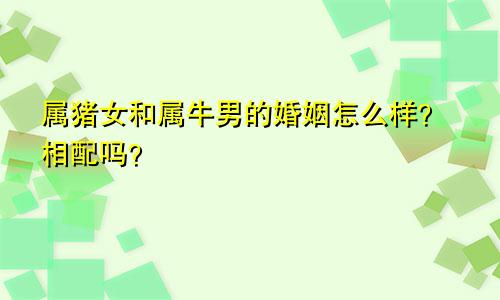 属猪女和属牛男的婚姻怎么样？相配吗？