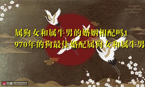 属狗女和属牛男的婚姻相配吗1970年的狗最佳婚配属狗女和属牛男的婚姻相配吗