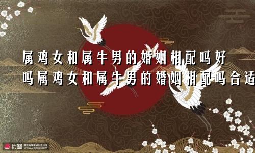 属鸡女和属牛男的婚姻相配吗好吗属鸡女和属牛男的婚姻相配吗合适吗