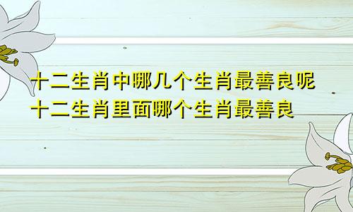 十二生肖中哪几个生肖最善良呢十二生肖里面哪个生肖最善良