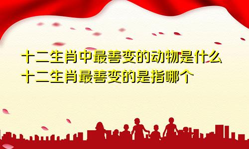 十二生肖中最善变的动物是什么十二生肖最善变的是指哪个
