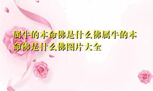 属牛的本命佛是什么佛属牛的本命佛是什么佛图片大全
