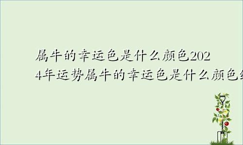 属牛的幸运色是什么颜色2024年运势属牛的幸运色是什么颜色终身