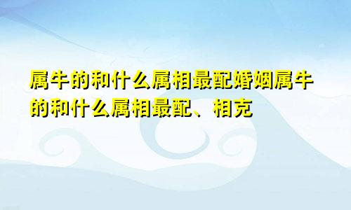 属牛的和什么属相最配婚姻属牛的和什么属相最配、相克
