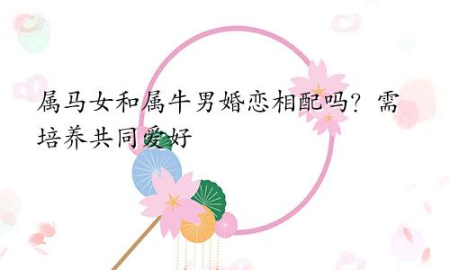 属马女和属牛男婚恋相配吗？需培养共同爱好