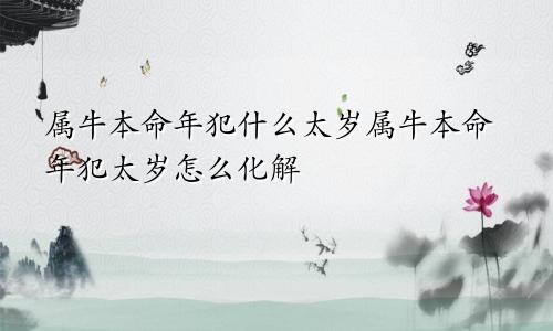 属牛本命年犯什么太岁属牛本命年犯太岁怎么化解