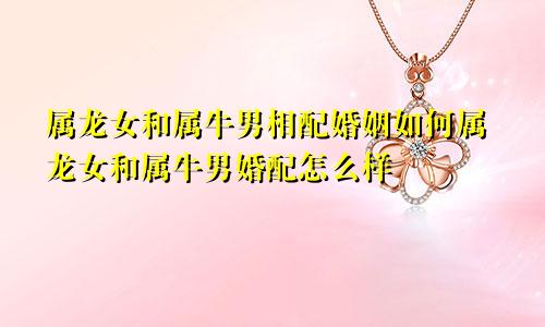 属龙女和属牛男相配婚姻如何属龙女和属牛男婚配怎么样