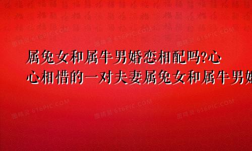 属兔女和属牛男婚恋相配吗?心心相惜的一对夫妻属兔女和属牛男婚恋相配吗?心心相惜的一对情侣