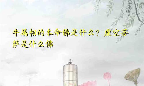牛属相的本命佛是什么？虚空菩萨是什么佛