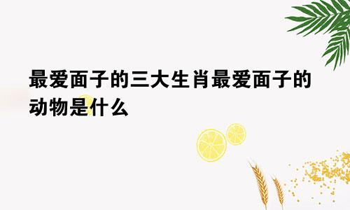 最爱面子的三大生肖最爱面子的动物是什么