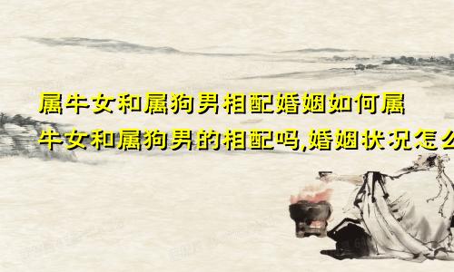 属牛女和属狗男相配婚姻如何属牛女和属狗男的相配吗,婚姻状况怎么样