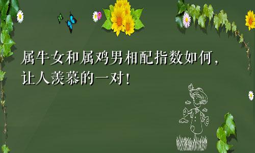 属牛女和属鸡男相配指数如何，让人羡慕的一对！
