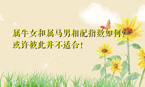 属牛女和属马男相配指数如何？或许彼此并不适合！