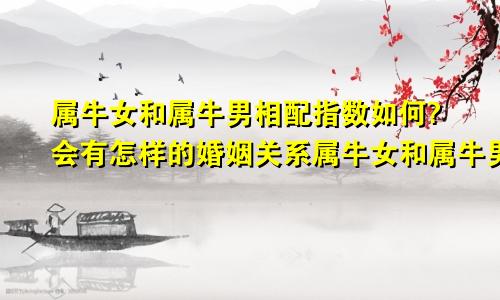 属牛女和属牛男相配指数如何?会有怎样的婚姻关系属牛女和属牛男相配指数如何?会有怎样的婚姻呢