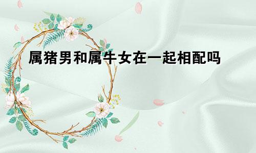 属猪男和属牛女在一起相配吗