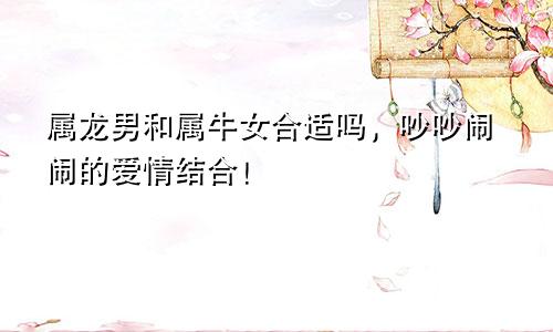 属龙男和属牛女合适吗，吵吵闹闹的爱情结合！