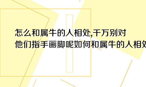 怎么和属牛的人相处,千万别对他们指手画脚呢如何和属牛的人相处