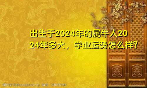出生于2024年的属牛人2024年多大，学业运势怎么样？