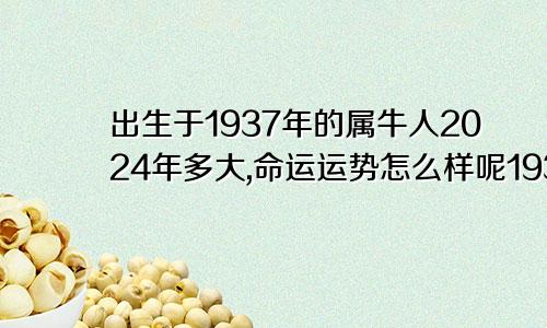 出生于1937年的属牛人2024年多大,命运运势怎么样呢1937年属牛的人2024年多少岁