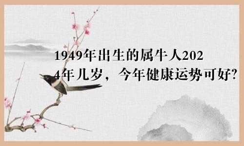 1949年出生的属牛人2024年几岁，今年健康运势可好？