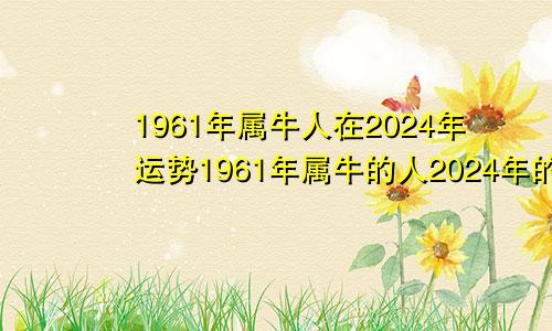 1961年属牛人在2024年运势1961年属牛的人2024年的运势及运程