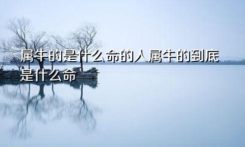 属牛的是什么命的人属牛的到底是什么命