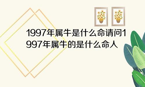 1997年属牛是什么命请问1997年属牛的是什么命人