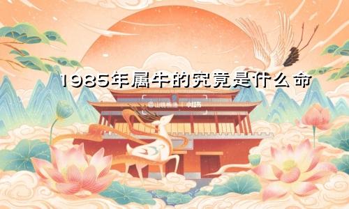 1985年属牛的究竟是什么命