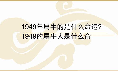 1949年属牛的是什么命运?1949的属牛人是什么命