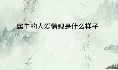 属牛的人爱情观是什么样子