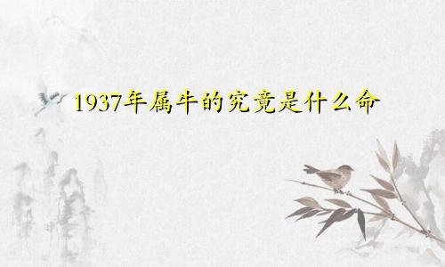 1937年属牛的究竟是什么命