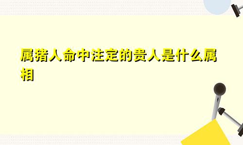 属猪人命中注定的贵人是什么属相