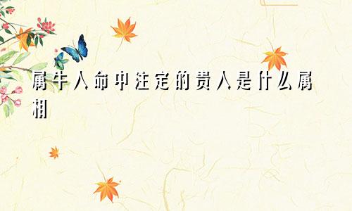 属牛人命中注定的贵人是什么属相