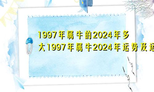 1997年属牛的2024年多大1997年属牛2024年运势及运程