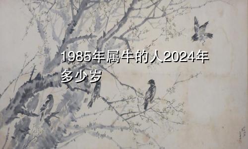 1985年属牛的人2024年多少岁
