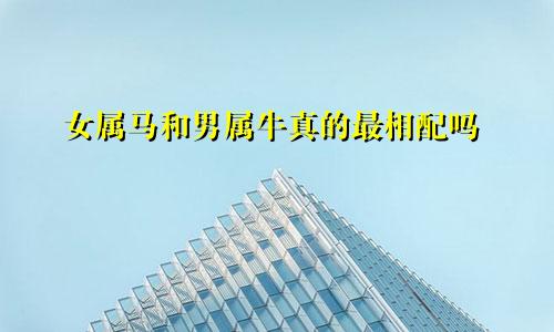 女属马和男属牛真的最相配吗