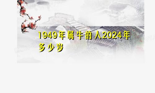 1949年属牛的人2024年多少岁