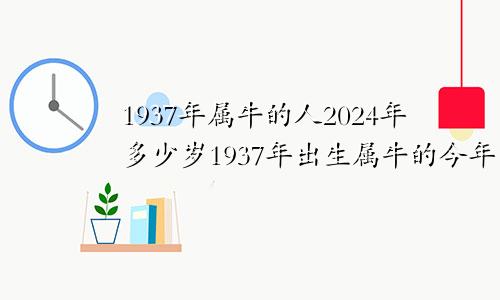 1937年属牛的人2024年多少岁1937年出生属牛的今年多大