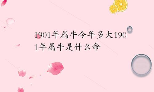1901年属牛今年多大1901年属牛是什么命