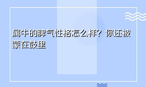 属牛的脾气性格怎么样？你还被蒙在鼓里