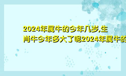 2024年属牛的今年几岁,生肖牛今年多大了呢2024年属牛的今年是多少岁?