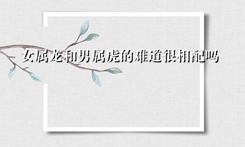 女属龙和男属虎的难道很相配吗