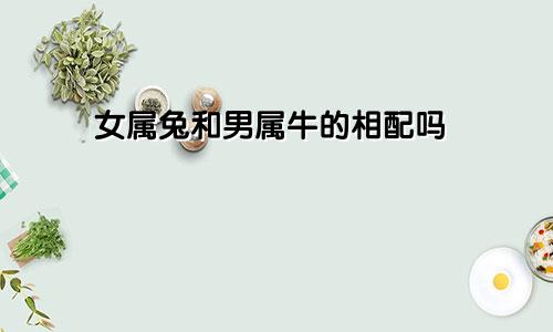 女属兔和男属牛的相配吗